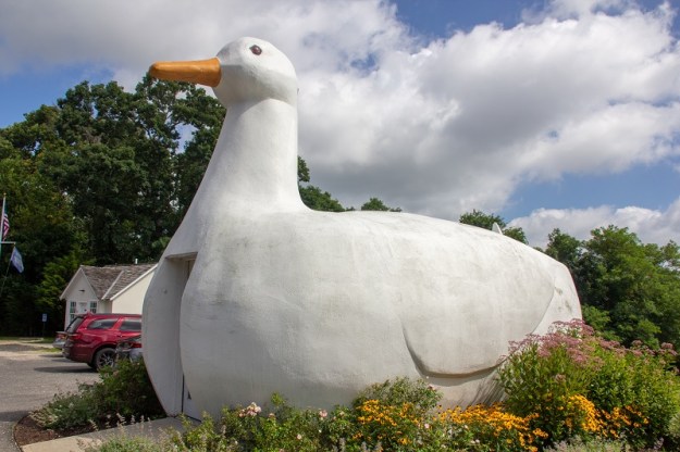 A building in the shape of a giant duck.