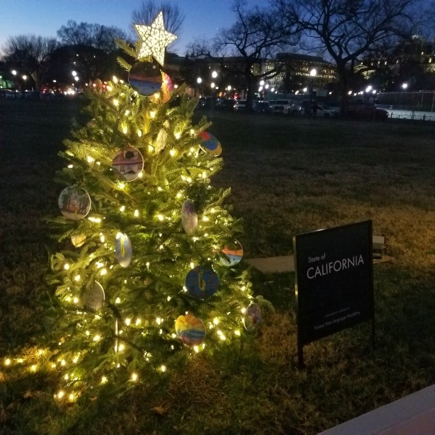 California's state Christmas tree, 2023.