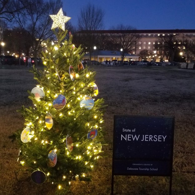 New Jersey's state Christmas tree, 2023.